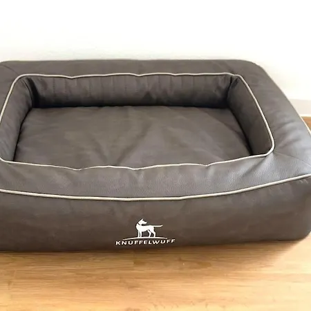 Family & Friends In 什未林