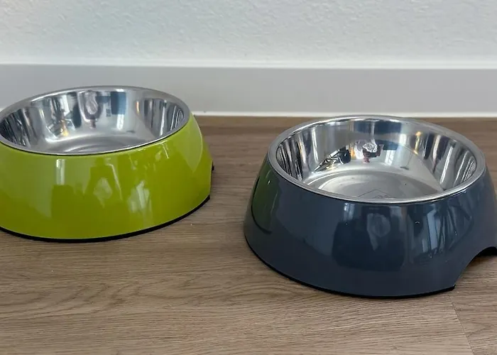 Lejlighed Family & Friends In Schwerin (Mecklenburg-Vorpommern)