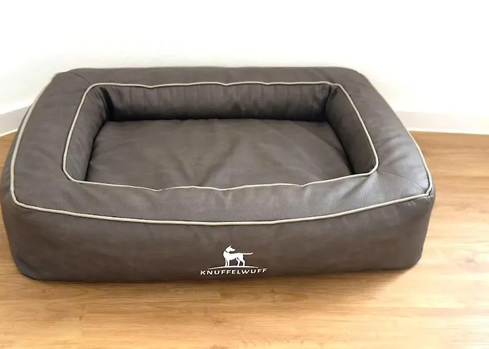 Family & Friends In Schwerin (Mecklenburg-Vorpommern)